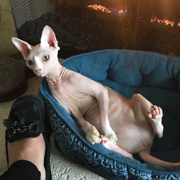 Meet your Posher, Katherine - Picture 1 of 1